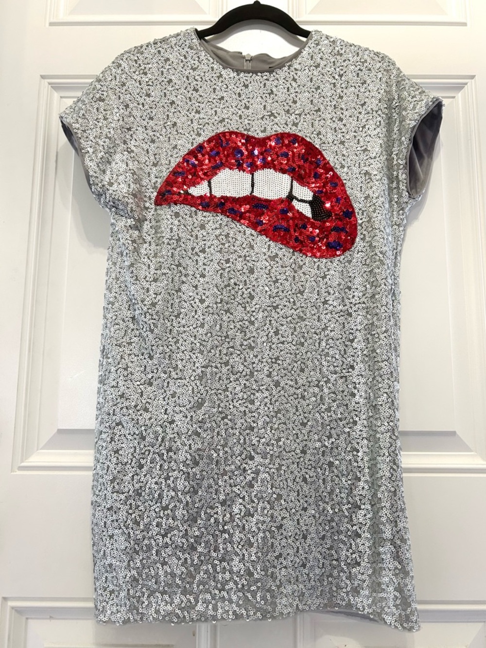 AIDAN BY AIDAN MATTOX Silver Sequin Short Sleeve Biting Lip Dress Size 2